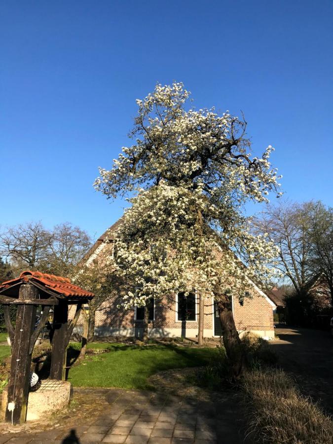 In De Tuin In Gees Villa Exterior photo